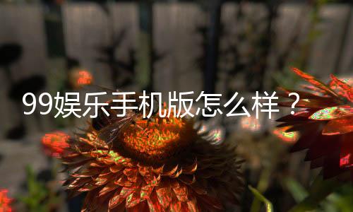 99娱乐手机版怎么样?资深玩家实测体验与平台特色解析