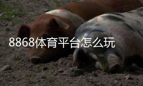 8868体育平台怎么玩?新手注册、充值、玩法与安全全面解析