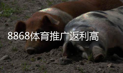 8868体育推广返利高吗?佣金比例、结算方式与真实口碑全面解析