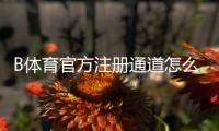 B体育官方注册通道怎么注册？官网步骤、实名认证与安全注意事项