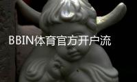 BBIN体育官方开户流程全攻略：新手注册步骤、验证与注意事项
