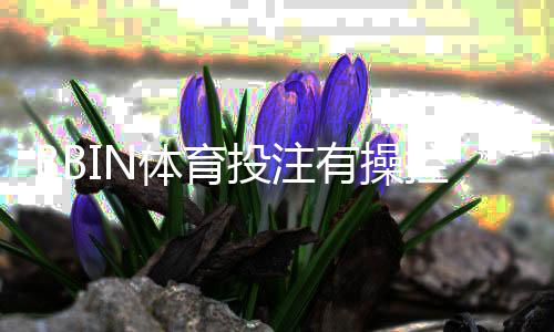BBIN体育投注有操控吗?真相解析、监管现状与玩家自保指南