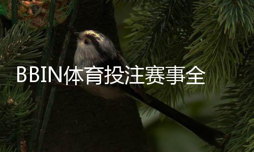 BBIN体育投注赛事全吗?赛事覆盖、玩法种类与新手投注指南
