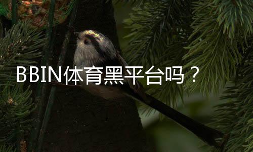 BBIN体育黑平台吗?真相揭秘、风险识别与用户维权攻略