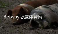 Betway必威体育网页登录怎么操作？新手注册与登录步骤详解