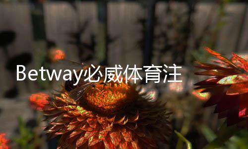 Betway必威体育注册送彩金怎么拿？最新注册优惠、领取步骤与注意事项