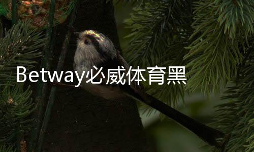 Betway必威体育黑网吗?真相调查、用户评价与安全性全面解析