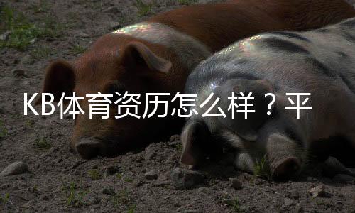 KB体育资历怎么样?平台背景、资质认证与用户口碑全面解析