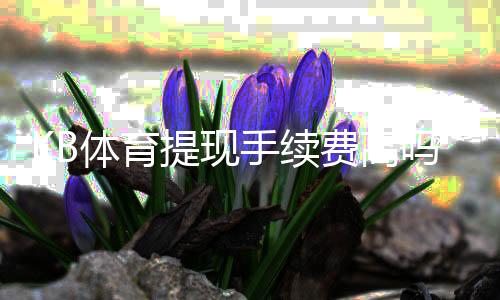 KB体育提现手续费高吗?最新费率详解与省手续费实用攻略