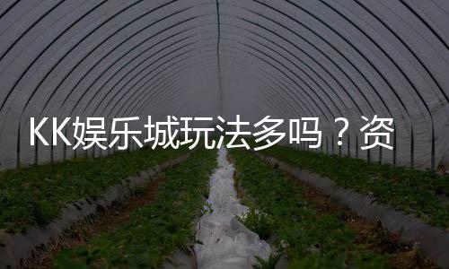 KK娱乐城玩法多吗?资深玩家带你揭秘多样游戏体验