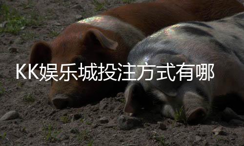 KK娱乐城投注方式有哪些？详解主流玩法与特色下注技巧