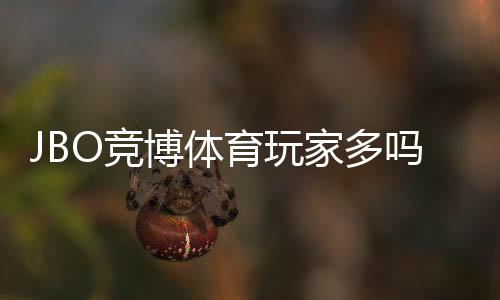 JBO竞博体育玩家多吗?真实用户规模与活跃度全面解析