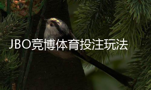 JBO竞博体育投注玩法多吗?玩法类型、规则与新手攻略全面解析