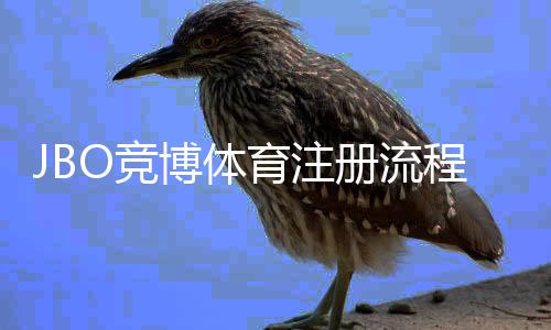 JBO竞博体育注册流程详解：新手一步步注册指南与常见问题解答