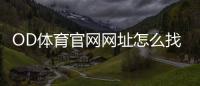 OD体育官网网址怎么找？官网入口、注册登录与安全访问全攻略