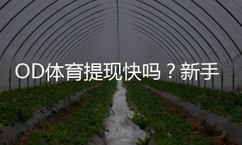 OD体育提现快吗?新手必看:提现速度、到账时间与常见延迟原因详解
