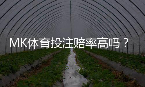 MK体育投注赔率高吗?深度解析平台优势与实战技巧