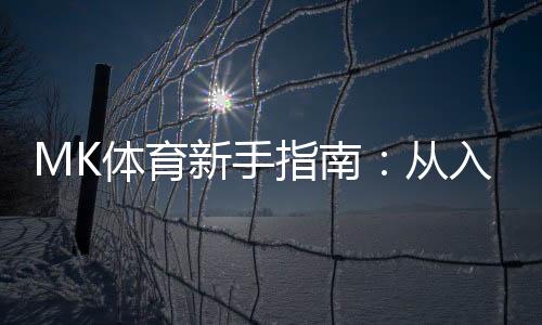 MK体育新手指南:从入门到精通的实战攻略