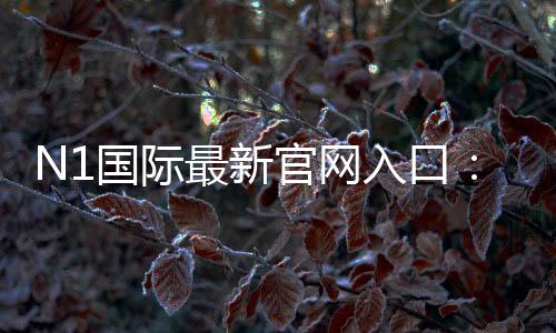 N1国际最新官网入口:官方地址、登录注册步骤与安全访问指南