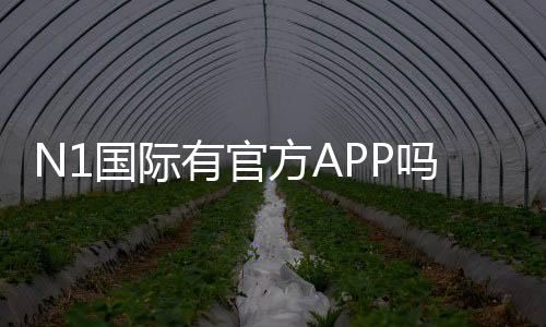 N1国际有官方APP吗?下载、安装与真假辨别全面解析