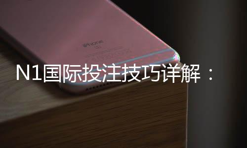 N1国际投注技巧详解:新手必看策略、盘口解读与风险控制