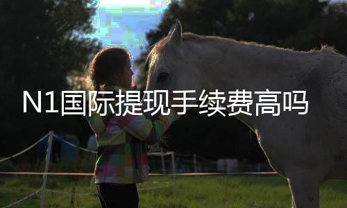 N1国际提现手续费高吗?最新费率解析与降低手续费实用攻略