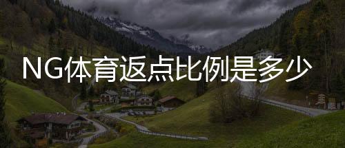 NG体育返点比例是多少?最新返点规则、计算方法与领取技巧