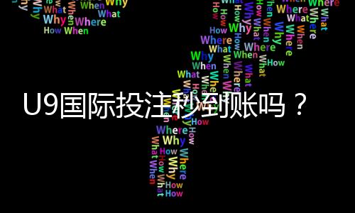 U9国际投注秒到账吗？充值提现到账时间、常见问题与解决方法