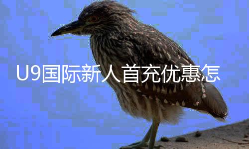 U9国际新人首充优惠怎么拿?领取步骤、福利规则与注意事项全攻略