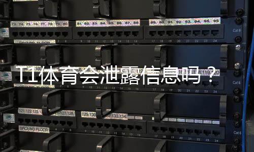 T1体育会泄露信息吗?真相调查与用户隐私保护全攻略