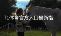 T1体育官方入口最新指南：官网登录、注册与安全访问教程