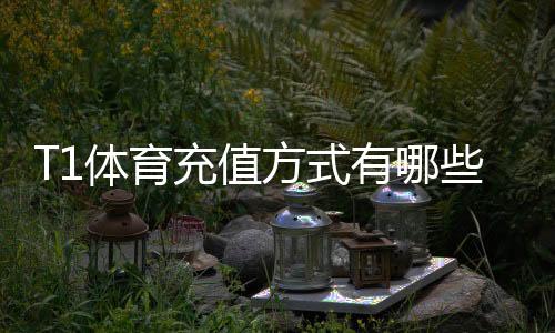 T1体育充值方式有哪些?支付渠道、操作步骤与安全注意事项详解