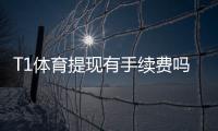 T1体育提现有手续费吗？提现流程、收费标准与省钱技巧详解