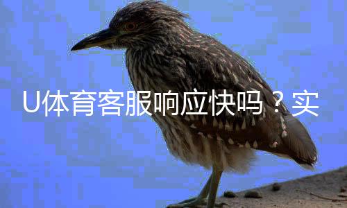 U体育客服响应快吗?实测体验告诉你答案