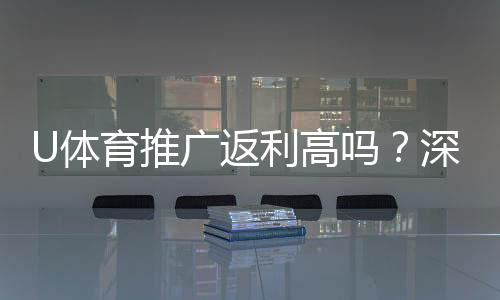 U体育推广返利高吗?深度解析平台返利政策与实战攻略