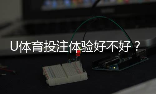 U体育投注体验好不好?资深玩家亲测平台真实体验
