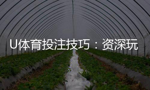 U体育投注技巧:资深玩家分享的实战盈利策略