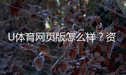 U体育网页版怎么样?资深玩家真实体验评测