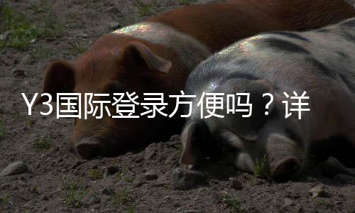 Y3国际登录方便吗?详细登录流程、常见问题及快速解决办法