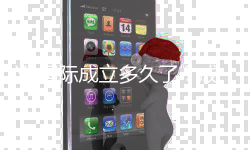 Y3国际成立多久了?成立时间、发展历程与可靠性全面解析