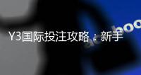 Y3国际投注攻略：新手必看玩法规则、下注技巧与风险控制全解析