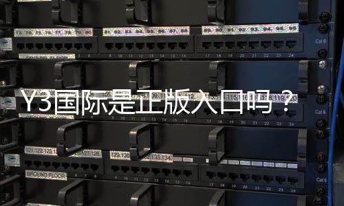 Y3国际是正版入口吗?真假辨别方法与安全登录全攻略