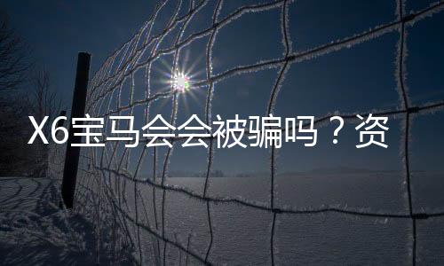 X6宝马会会被骗吗?资深玩家揭秘平台安全性与防骗技巧