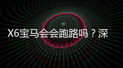 X6宝马会会跑路吗?深度解析平台信誉与资金安全