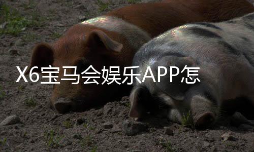 X6宝马会娱乐APP怎么样?资深玩家带你全面评测体验