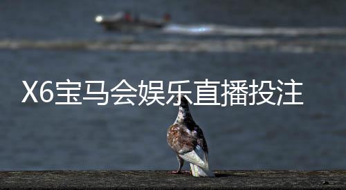 X6宝马会娱乐直播投注:揭秘高胜率玩家的实战技巧与策略