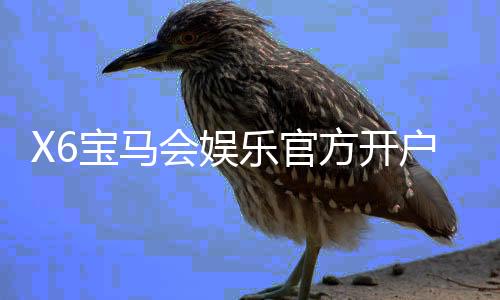X6宝马会娱乐官方开户流程:轻松注册三步搞定畅享豪华游戏体验