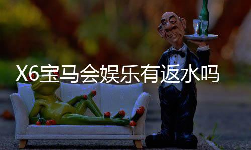 X6宝马会娱乐有返水吗?揭秘平台返水规则与实战技巧
