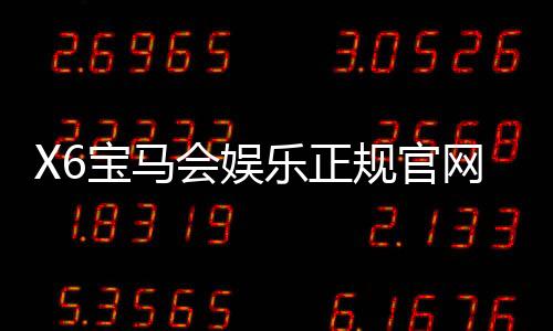 X6宝马会娱乐正规官网:探索高端电子游艺的极致体验