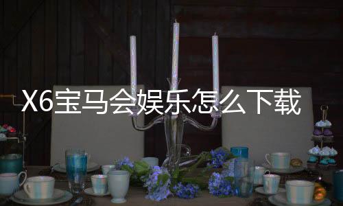 X6宝马会娱乐怎么下载?手把手教你快速安装畅玩攻略